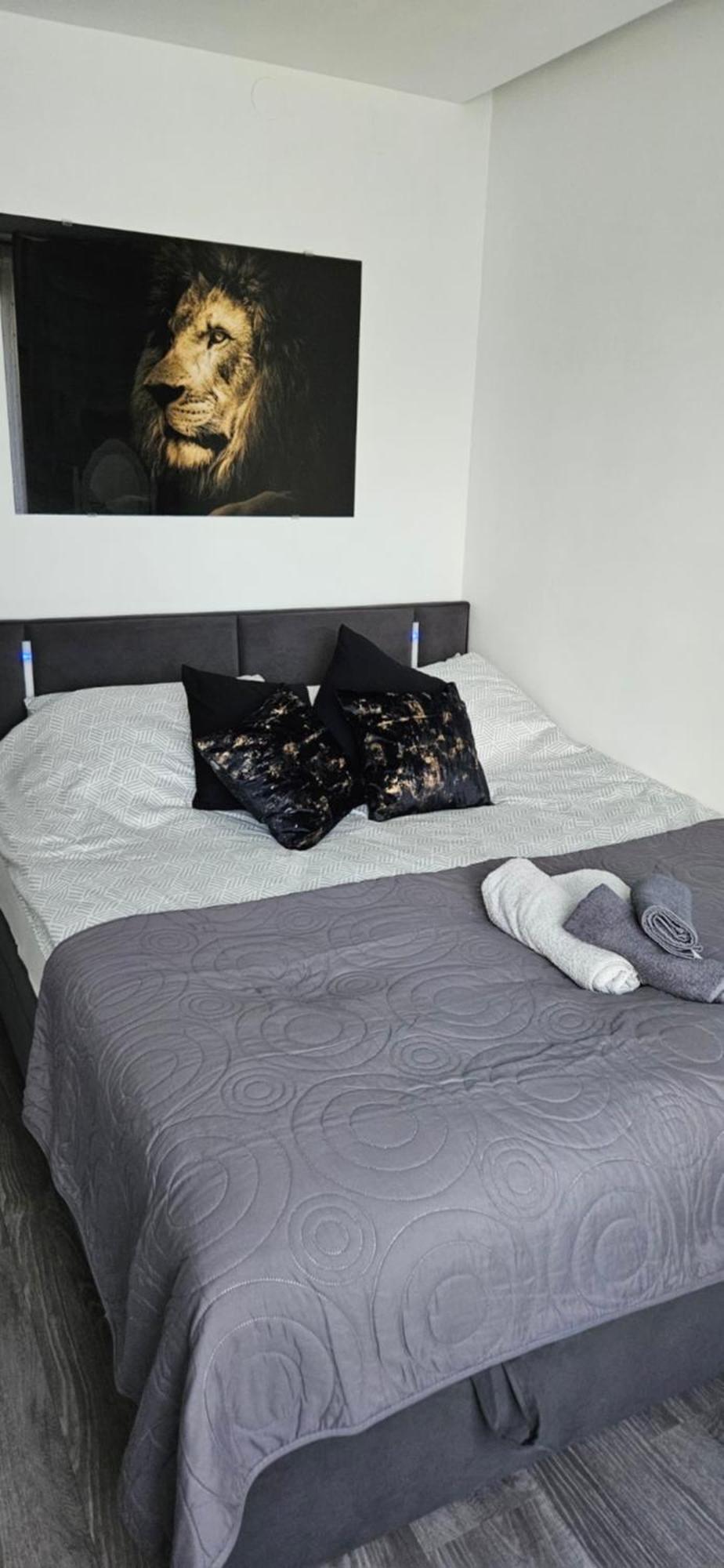 Family Apartament Zamość 外观 照片